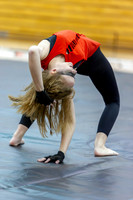2015 Blue Devil II Winter Guard