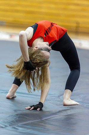 2015 Blue Devil II Winter Guard