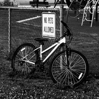 2025 an abandoned bike