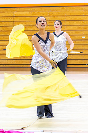 2014 Blue Devil II Winter Guard