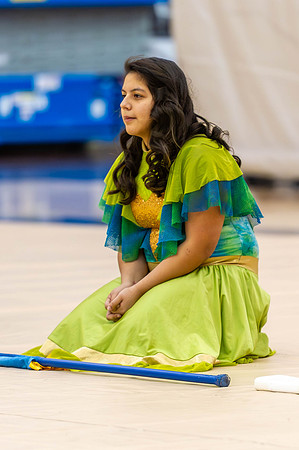 2015 Greendale winter guard