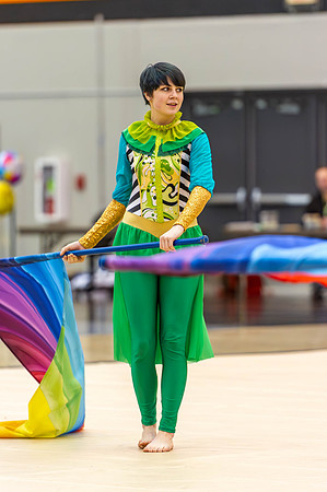 2015 Greendale winter guard