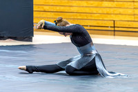 2014 Blue Devil I Winter Guard