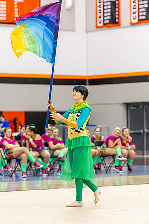 2015 Greendale winter guard