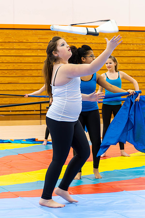 2015 Armada Cadets Winter Guard