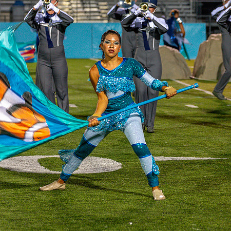 2012 Blue Stars
