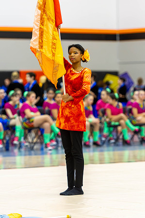 2015 Crete-Monee Winter Guard