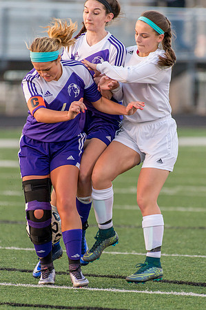 2016 Greendale Girls Varsity Soccer