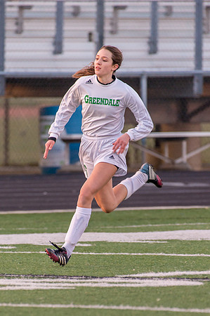 2016 Greendale Girls Varsity Soccer