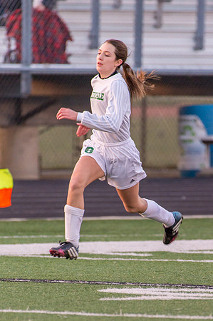 2016 Greendale Girls Varsity Soccer