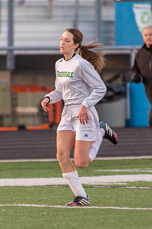 2016 Greendale Girls Varsity Soccer