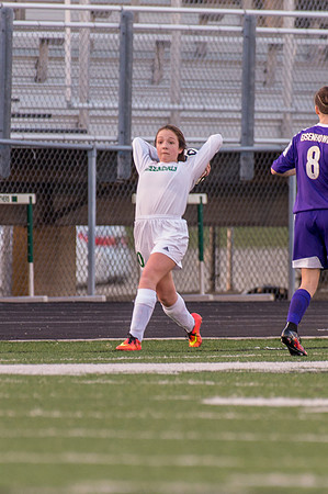 2016 Greendale Girls Varsity Soccer