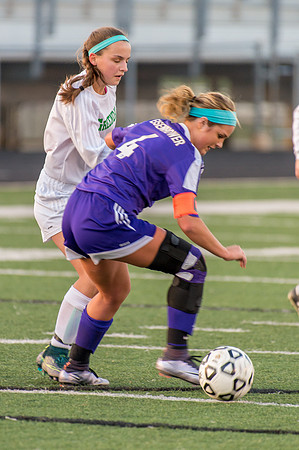 2016 Greendale Girls Varsity Soccer