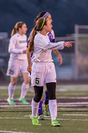 2016 Greendale Girls Varsity Soccer