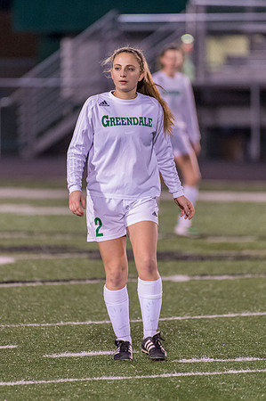 2016 Greendale Girls Varsity Soccer