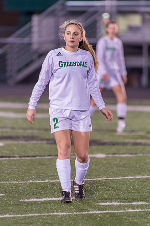 2016 Greendale Girls Varsity Soccer