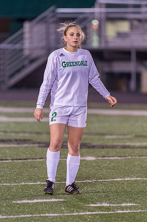 2016 Greendale Girls Varsity Soccer