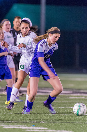 2016 Greendale Girls Varsity Soccer