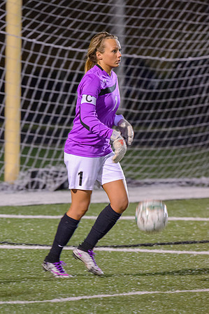 2016 Greendale Girls Varsity Soccer