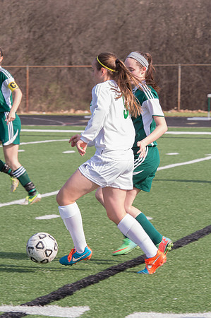 2015 Greendale Girls Varsity Soccer