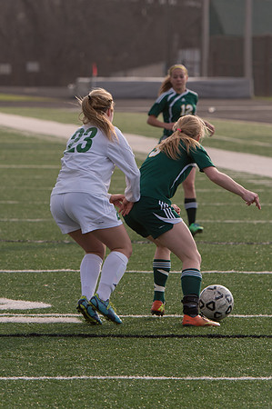 2015 Greendale Girls Varsity Soccer