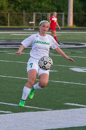 2015 Greendale Girls Varsity Soccer