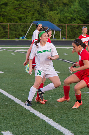 2015 Greendale Girls Varsity Soccer