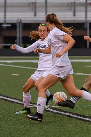 2018 Greendale Girls Varsity Soccer