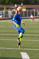 2015 Greendale Girls Varsity Soccer