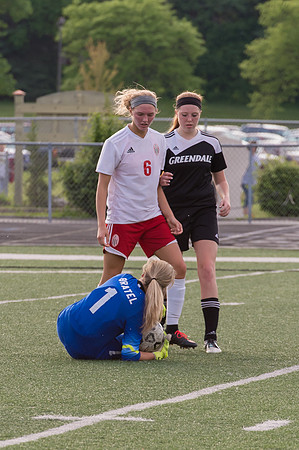 2015 Greendale Girls Varsity Soccer