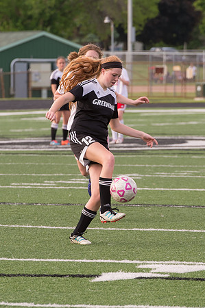 2015 Greendale Girls Varsity Soccer