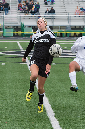 2015 Greendale Girls Varsity Soccer