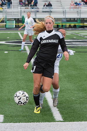2015 Greendale Girls Varsity Soccer