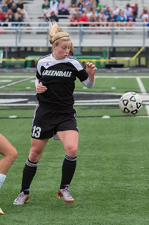 2015 Greendale Girls Varsity Soccer