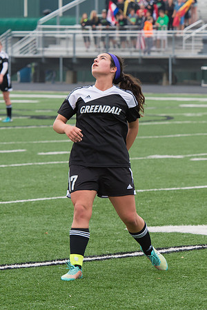 2015 Greendale Girls Varsity Soccer