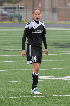 2015 Greendale Girls Varsity Soccer
