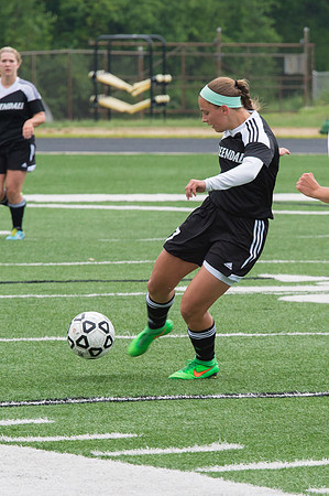 2015 Greendale Girls Varsity Soccer
