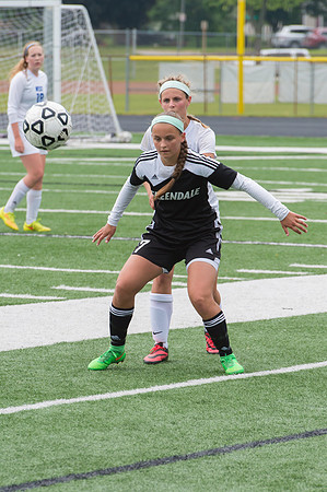 2015 Greendale Girls Varsity Soccer