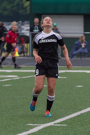 2015 Greendale Girls Varsity Soccer