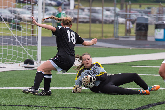 2015 Greendale Girls Varsity Soccer