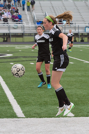 2015 Greendale Girls Varsity Soccer