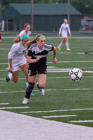 2015 Greendale Girls Varsity Soccer