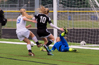 2015 Greendale Girls Varsity Soccer