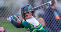 2016 Greendale Varsity Softball