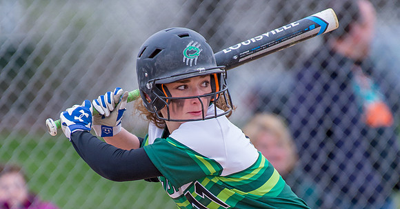 2016 Greendale Varsity Softball