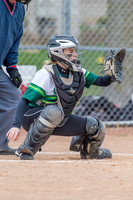 2016 Greendale Varsity Softball