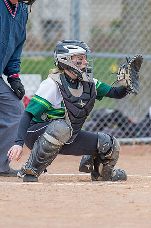 2016 Greendale Varsity Softball