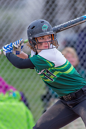 2016 Greendale Varsity Softball
