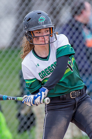 2016 Greendale Varsity Softball