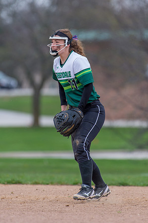 2016 Greendale Varsity Softball
